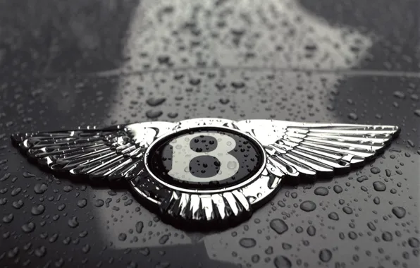 Picture drops, black and white, Bentley, logo