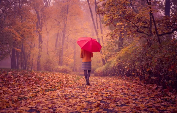 Picture road, autumn, girl, landscape, foliage, back, red umbrella