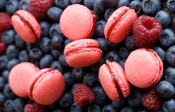 Picture berries, raspberry, cookies, blueberries, pink, Anna Verdina, macaron, macaron