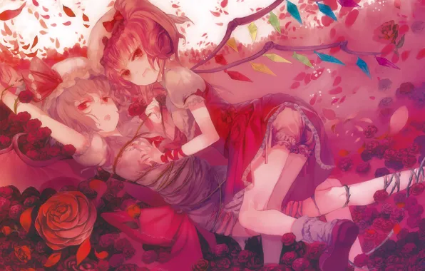 Picture flowers, wings, vampires, touhou, connected, remilia scarlet, flandre scarlet, Touhou