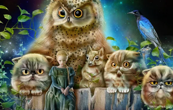 Picture owl, bird, cats, protein, girl, Princess