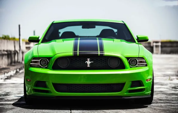Picture green, mustang, Mustang, green, before, ford, Ford, boss, boss 302, black stripes