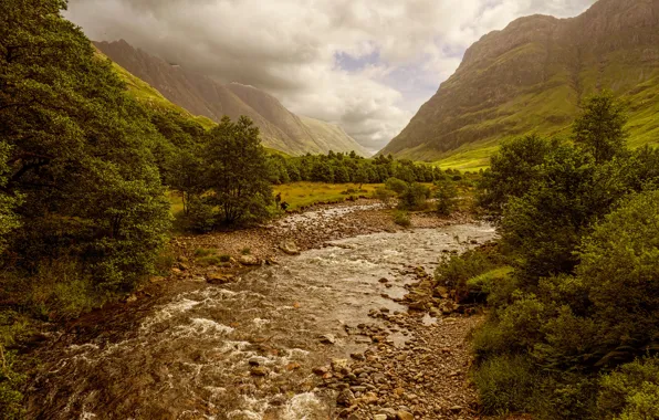 Picture trees, mountains, stream, stones, valley, Scotland, the bushes, cloudy