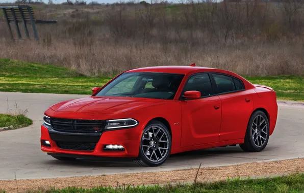 Picture dodge, charger, 2014