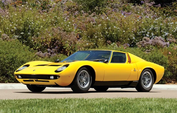 Picture auto, Lamborghini, 1969, yellow, classic, legend, Miura P400 S