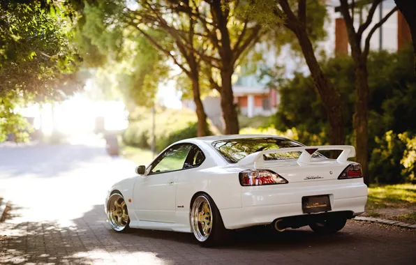 Picture white, light, trees, S15, car, Nissan, Nissan Silvia