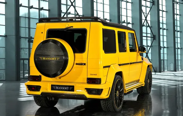 Picture mansory, mercedes benz, g-class, gronos