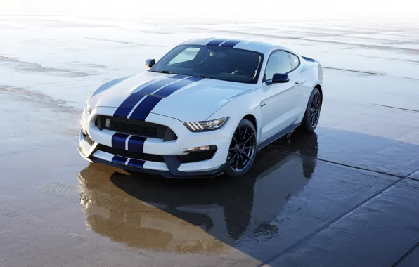 Picture Shelby, 350, 2015