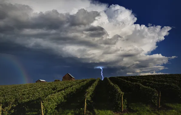 Picture the sky, clouds, lightning, rainbow, house, the vineyards