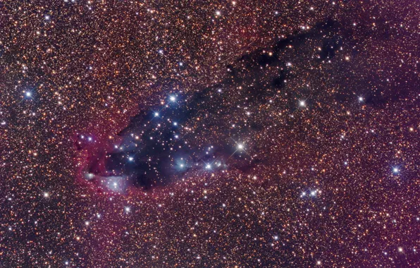 Picture space, Scorpio, dark nebula, star formation, star formation, Scorpius, dark nebula