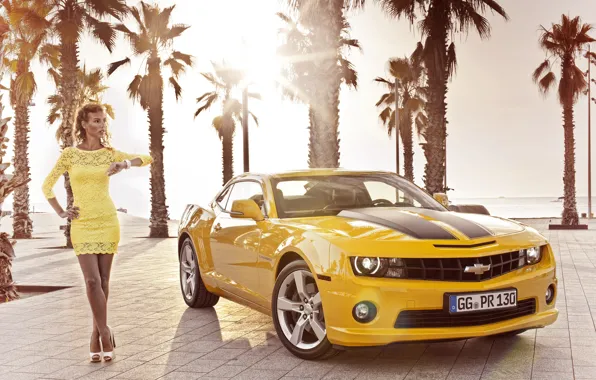 Picture girl, palm trees, Wallpaper, 2012, Chevrolet, camaro, chevrolet, wallpapers, Camaro, Girl Cars