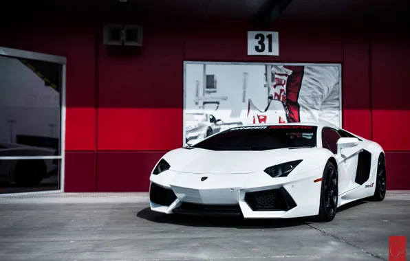 Picture white, Lamborghini, supercar, Aventador, Lamborghini, aventador