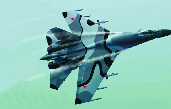 Picture Flanker, Su-27, Dude