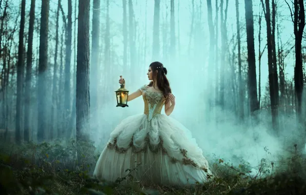 Picture forest, girl, the situation, dress, lantern, Bella Kotak