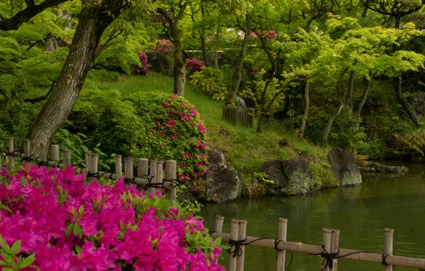Picture water, trees, pond, Park, Japan, garden, rhododendron, Azalea, Kobe