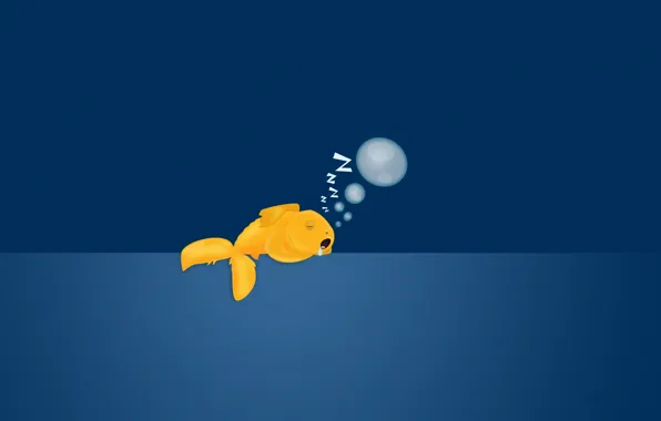 Picture bubbles, background, sleeping, goldfish