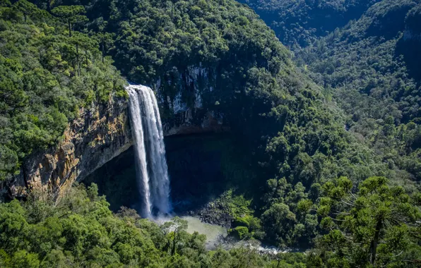 Picture forest, rock, waterfall, Brazil, Brazil, Cascata do Caracol waterfall, Caracol Falls, Canela, State Park Karakol, …