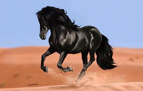 Picture sand, horse, art, running, dunes, crow