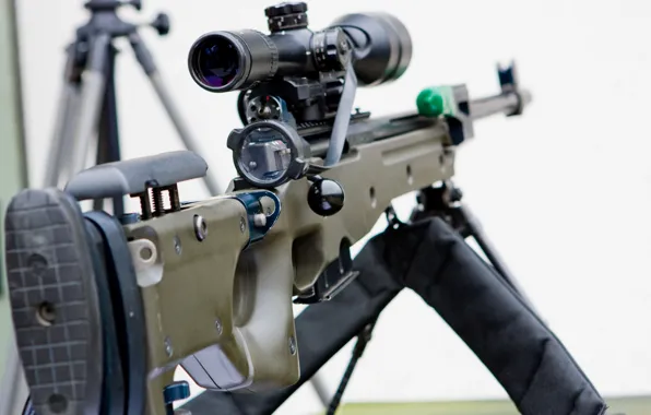 Picture sight, sniper rifle, L96