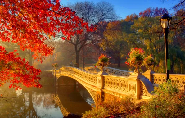 Picture autumn, the sun, trees, flowers, bridge, fog, Park, morning, lights, river