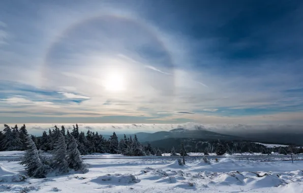Picture winter, the sky, snow, lights, halo, Halo