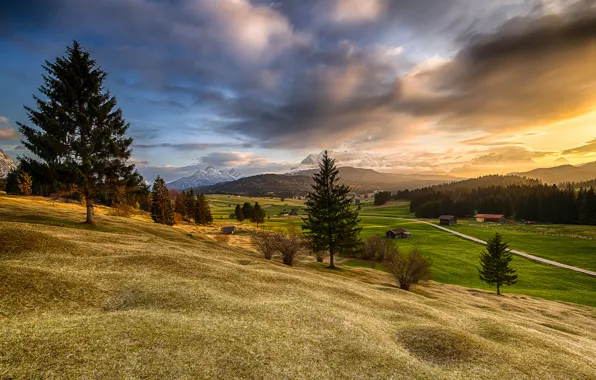 Picture forest, mountains, hills, field, home, Bayern