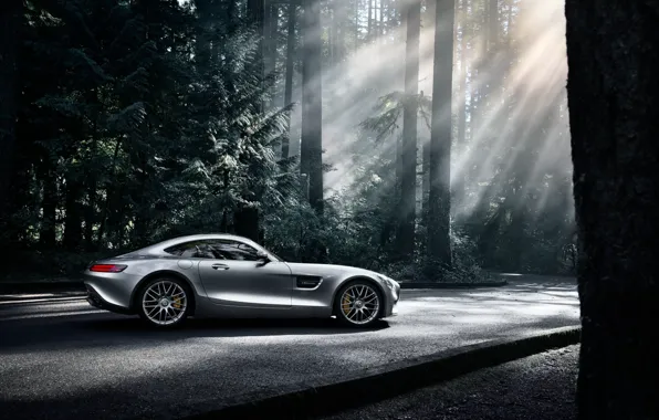 Picture Mercedes-Benz, Dark, AMG, Sun, Color, Side, Silver, Forest, 2016, GT S