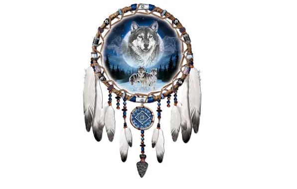 Picture feathers, white background, wolves, wolf, wolves, Dreamcatcher, Dreamcatcher