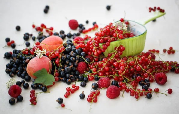 Picture berries, raspberry, food, black, fruit, red, currants, apricots