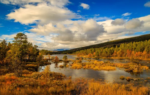 Picture autumn, clouds, trees, mountains, river, Norway
