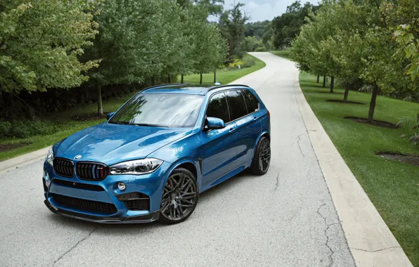 Picture BMW, Blue, Car, IND, Metallic, 2015-16, X5, M