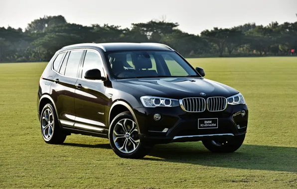 Picture BMW, BMW, crossover, F25