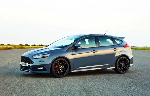 Picture Ford, focus, Focus, Ford, 2014