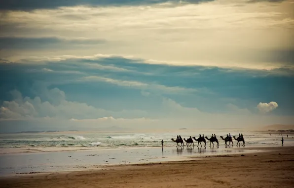 Picture sand, sea, wave, the sky, landscape, clouds, people, shore, Caravan, horizon, camels