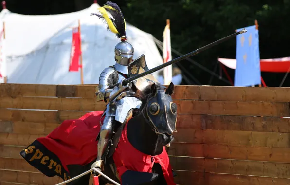 Picture metal, horse, horse, armor, warrior, knight, tournament