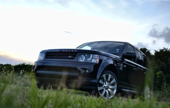 Picture the sky, grass, trees, black, sport, grass, Land Rover, black, sky, front, tree, range rover …