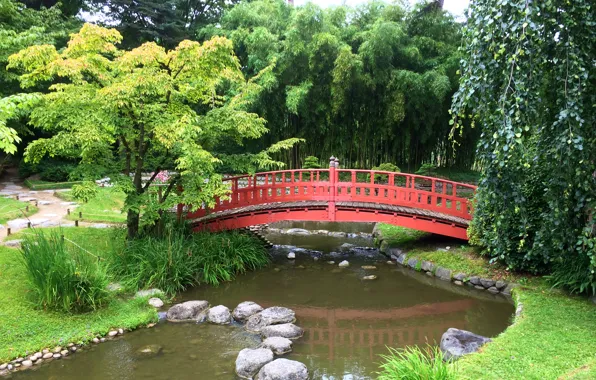 Picture trees, bridge, pond, stones, France, Paris, garden, Japanese garden, Albert-Kahn