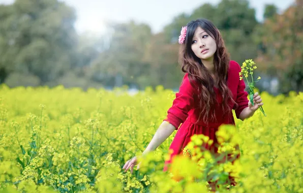 Picture FIELD, RED DRESS, ASIAN, LONG HAIR, FLOWER