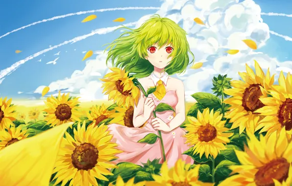 Picture summer, girl, clouds, sunflowers, the wind, petals, art, touhou, kazami yuuka, samizuban