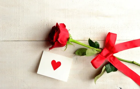 Picture flower, love, holiday, heart, rose, love, rose, flower, I love you, heart, holiday