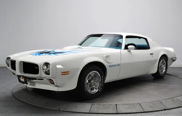 Picture white, car, Pontiac, Pontiac, Firebird, Trans Am, 1973