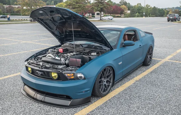 Picture engine, Mustang, Ford, Road, the hood, power, drives, blue, side