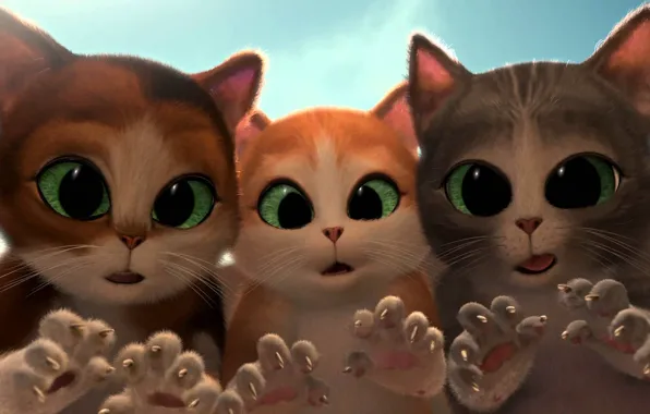 Picture cats, cartoon, surprise, tale, kittens, claws, green eyes, cats, kittens, short film, Puss in Boots: …