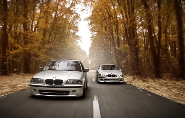 Picture road, autumn, forest, lights, speed, BMW, E46, E39, Stance Works