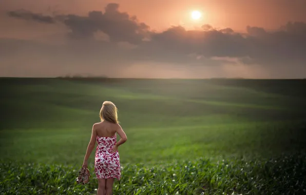 Picture field, girl, the sun, space