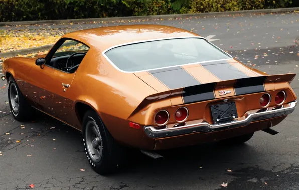 Picture leaves, orange, background, coupe, Chevrolet, Camaro, Chevrolet, 1971, Camaro, rear view, Muscle car, Muscle car, …