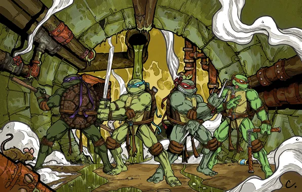 Picture Rafael, Donatello, Leonardo, Michelangelo, teenage mutant ninja turtles