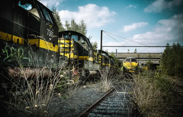 Picture grass, rails, train, cars, railroad, dry