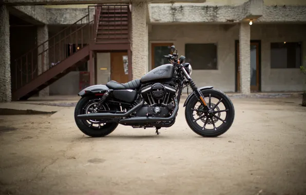 Picture moto, american, Harley-Davidson, iron, Sportster, v-tvin, 883