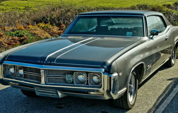 Picture coupe, 1969, muscle car, coupe, wildcat, buick